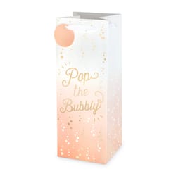 Cakewalk Assorted Paper Bottle Gift Bag