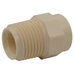 Charlotte Pipe FlowGuard Schedule 40 1/2 in. Socket X 1/2 in. D MNPT CPVC Adapter 1 pk