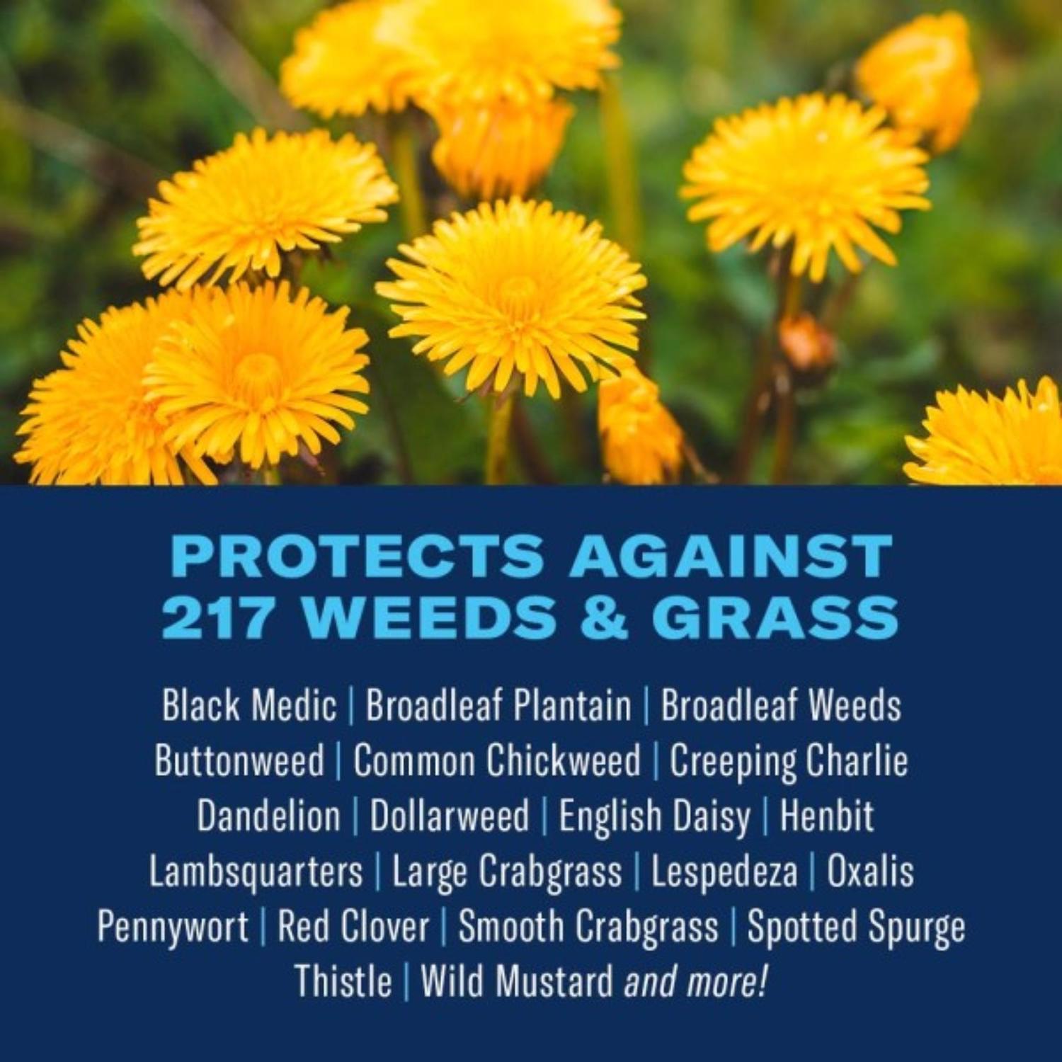 BioAdvanced All-In-One Weed and Crabgrass Killer RTS Hose