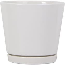 Trendspot Knack 5.7 in. H X 6 in. D Ceramic Planter White