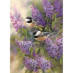 Cobble Hill Chickadee Duo Tray Puzzle Multicolored 35 pc