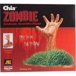 Chia Pet Zombie Restless Arm Decorative Planter Clay 1 pk