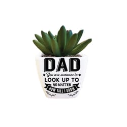 Sentiment Succulents 4 in. H X 2.25 in. L Multicolored Plastic Planter