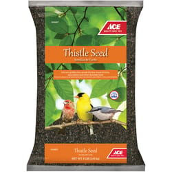 Ace Songbird Nyger Thistle Seed Wild Bird Food 8 lb