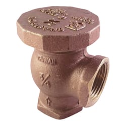 Champion Brass 150 PSI Adjustable Anti-Siphon Valve 1 in. Inlet