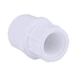 Charlotte Pipe Schedule 40 3/4 in. Slip X 1/2 in. D FPT PVC Pipe Adapter 1 pk