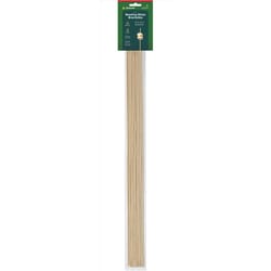 Coghlan's Tan Roasting Stick 33.500 in. H X 1/4 in. W X 30 in. L 12 pk