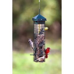 Squirrel Solutions Wild Bird 2 qt Metal/Plastic Bird Feeder 6 ports