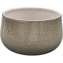 Robert Allen 4 in. D Steel Mini Bella Bowl Planter Dusted Pearl