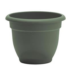 Bloem Ariana 8.5 in. H X 11 in. W X 10 in. D Plastic Traditional Planter Basil