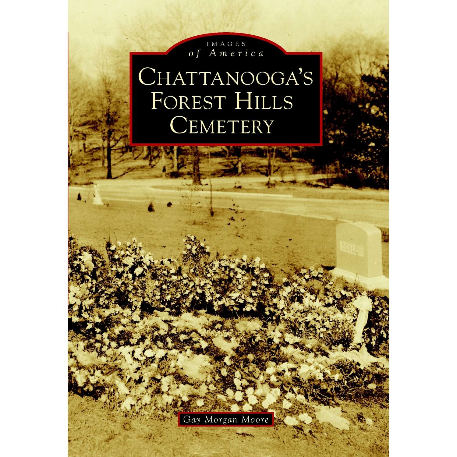 Arcadia Publishing Chattanooga's Forest Hills Cemetery History Book Ace Hardware