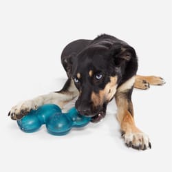 Bark Blue Plush Treat Giver River Dog Toy 1 pk