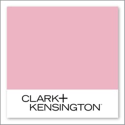 Clark+Kensington Posh Pink 04B-3