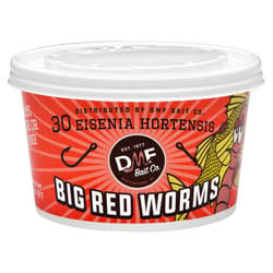 DMF Bait Big Red Worms Fishing Bait