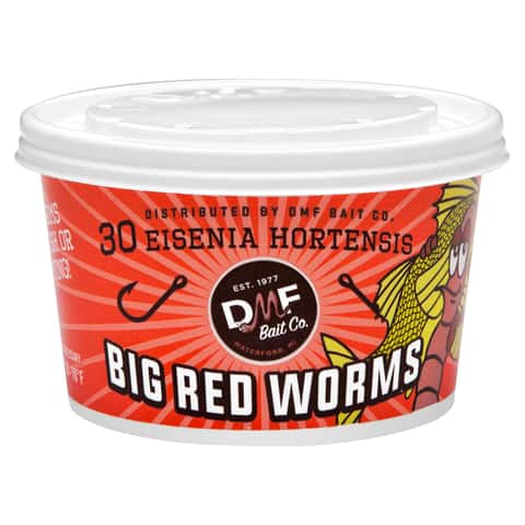 Buy Fishing Bait Worm online