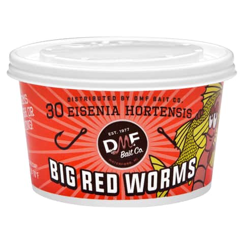 DMF Bait Co Big Red Worms Fishing Bait - Ace Hardware
