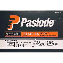 Paslode 1/2 in. W X 1/4 in. L 20 Ga. Wide Crown Staples 5000 pk