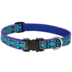 Lupine Pet Original Designs Multicolor Rain Song Nylon Dog Adjustable Collar