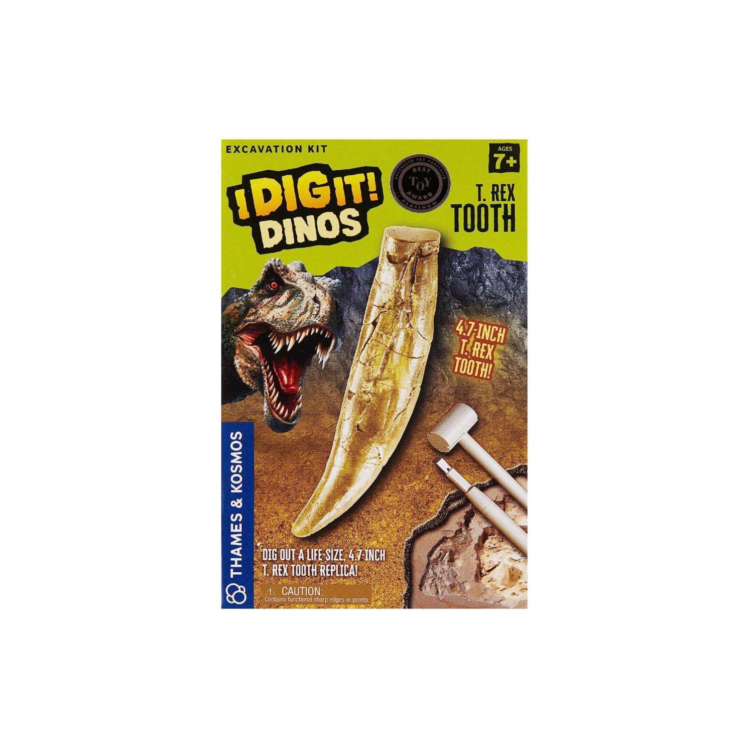 Thames & Kosmos T. Rex Tooth Excavation Kit 4 pc Ace Hardware