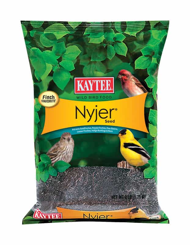 Kaytee Songbird Wild Bird Food Nyjer Seed 3 lb. Ace Hardware