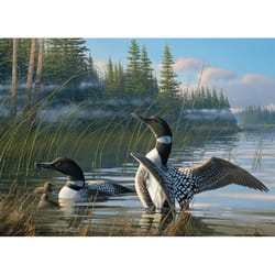 Cobble Hill Common Loons Jigsaw Puzzle Cardboard 1000 pc