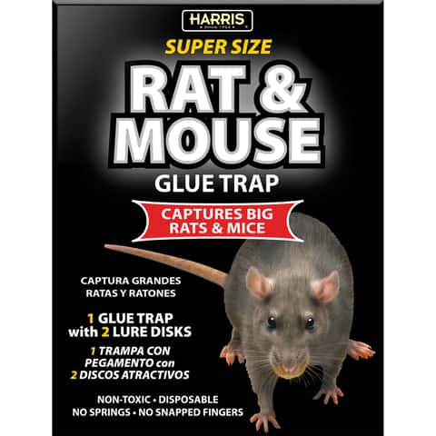 Mice Rodent Rat Catcher Stainless Steel Rat Trap Non-toxic