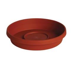 Bloem Terratray 0.7 in. H X 3.75 in. D Resin Traditional Tray Terracotta Clay