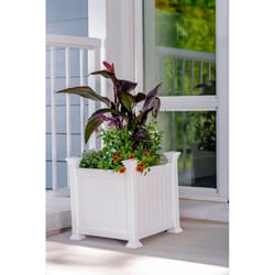 Vita Cardiff 16 in. H X 15 in. W X 15 in. D PVC Planter Box White