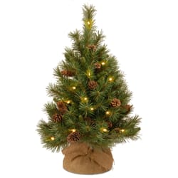 National Tree Company 3 ft. Full LED 35 ct Pine Cone Christmas Tree