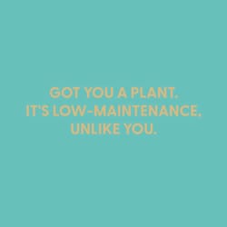 Chive Blank Greeting Card Got You a Plant. It's Low-Maintenance. Unlike You.