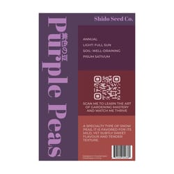 Chive Shido Seed Co Purple Peas Seeds 1 pk