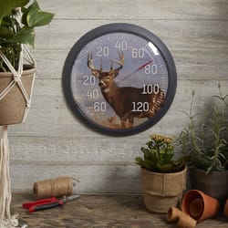 Taylor White Tail Deer Dial Thermometer Plastic 13.25 in.