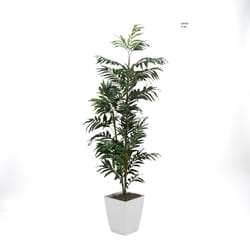 DW Silks 72 in. H X 30 in. L Polyester Phoenix Palm In White Metal Planter