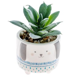 Karma 2 in. H X 2 in. W X 2 in. L Multicolored Ceramic Succulent Pot