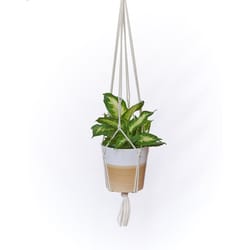 Primitive Planters Antique White Macrame 30 in. H Plant Hanger 1 pk