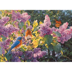 Cobble Hill Spring Interlude Jigsaw Puzzle 500 pc