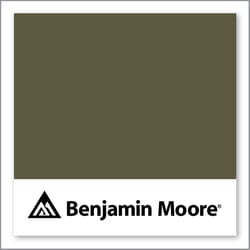 Benjamin Moore Mediterranean Olive 2142-10
