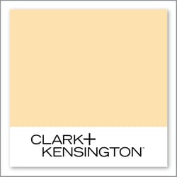 Clark+Kensington Lemon Shake Up 17C-3