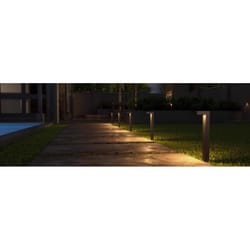 Nebo LED Espresso All-Weather Metal 500 Lm. Low Voltage Landscape Spot Light  - Wagner Hardware