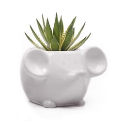 Chive Animal Planter 5 in. D Ceramic Mouse Succulent Pot White