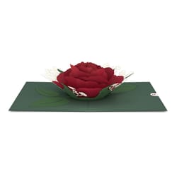 Lovepop Red Rose Bloom 3D Card Paper 1 pk