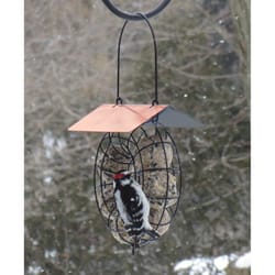 Songbird Essentials Woodpecker Metal Ball Roof Cage