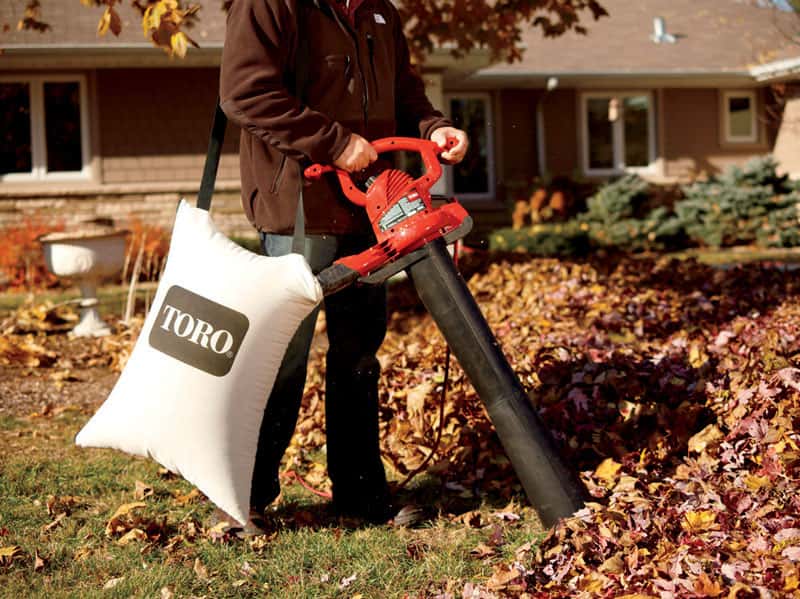 How to Use a Leaf Blower or Vacuum