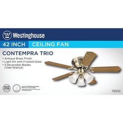 Westinghouse Contempra Trio 42 in. Antique Brass Indoor Ceiling Fan