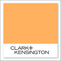 Clark+Kensington Orange Options 14C-5