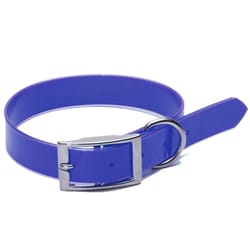 PDQ Blue Poly Dog Hunting Dog Collar Large/X-Large