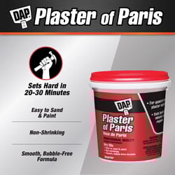 DAP White Plaster of Paris 4 lb