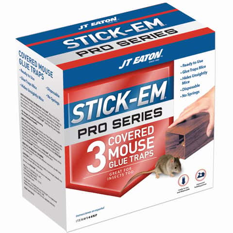 JT Eaton Stick-Em Pro Series Small Covered Animal Trap For Mice 3 pk - Ace  Hardware