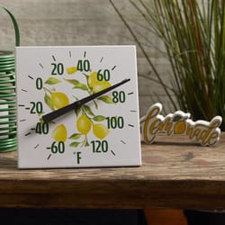 Taylor 120 deg Lemons Thermometer 8 in. L X 8 in. W White