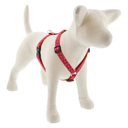 LupinePet Original Designs Multicolored Alpen Glow Nylon Dog Harness Small